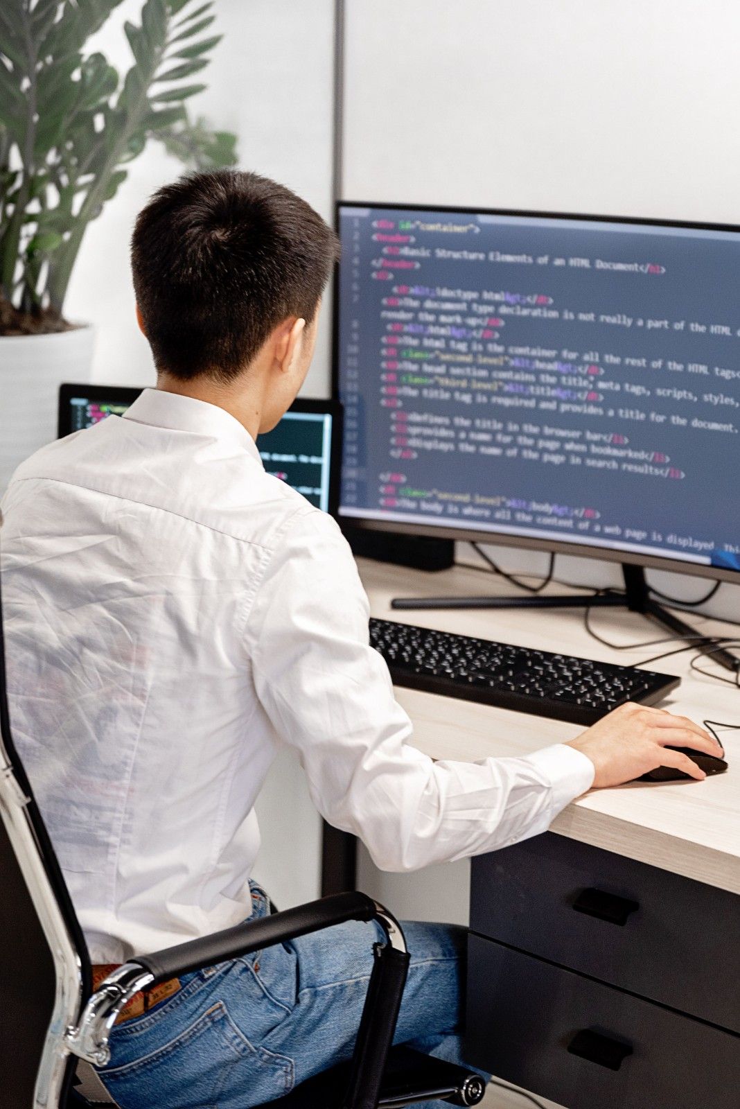 Software Development